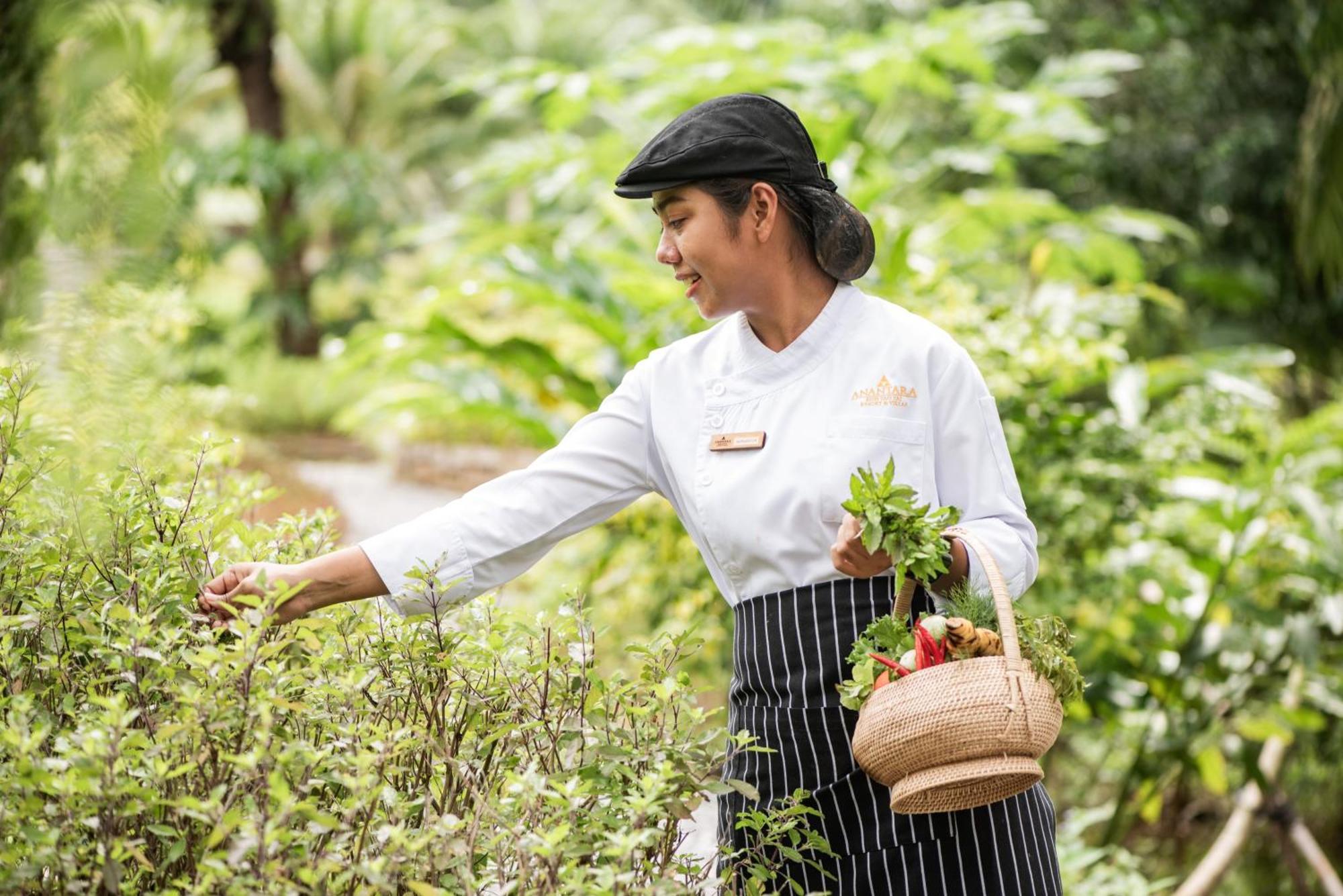 Anantara Koh Yao Yai Resort & Villas Ко-Яо-Яй Екстер'єр фото